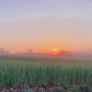 Meet your Posher, Geraldine